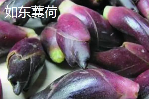 江苏南通市如东县的特产，如东条斑紫菜畅销各地