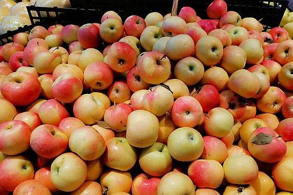 苹果为什么一年四季都有卖，因为苹果可以冷库长期贮藏