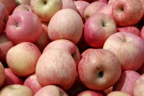 苹果为什么一年四季都有卖，因为苹果可以冷库长期贮藏