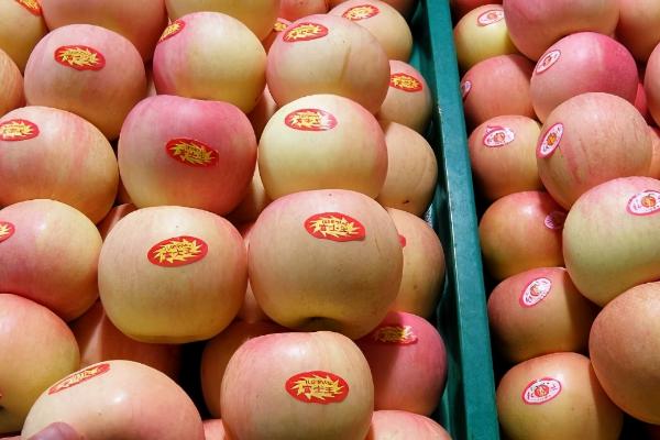 苹果为什么一年四季都有卖，因为苹果可以冷库长期贮藏