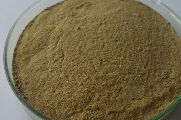 枯草芽胞杆菌的优劣辨别方法，优质的在有效期内不会失效