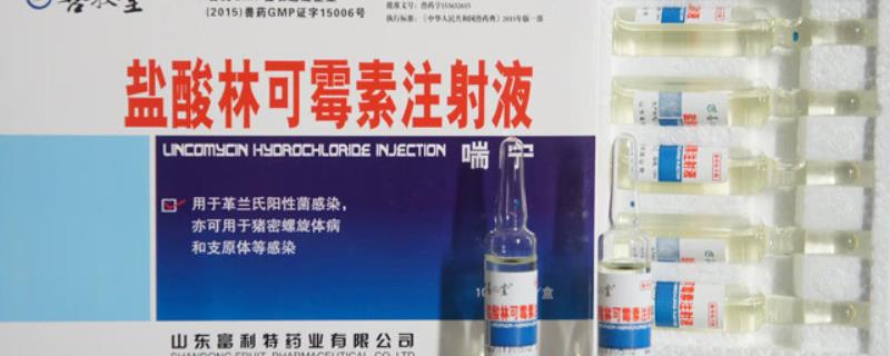 兽用盐酸林可霉素的配伍禁忌，与罗红霉素配伍治疗效果会降低