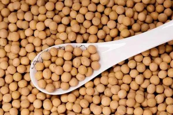 受欢迎的大豆品种有哪些，常见的有中黄35、中黄301等