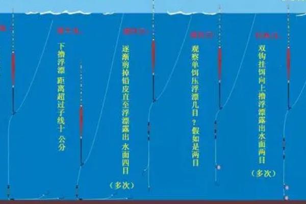 钓鲫鱼用什么漂，首先选择流线型或者枣核型的漂