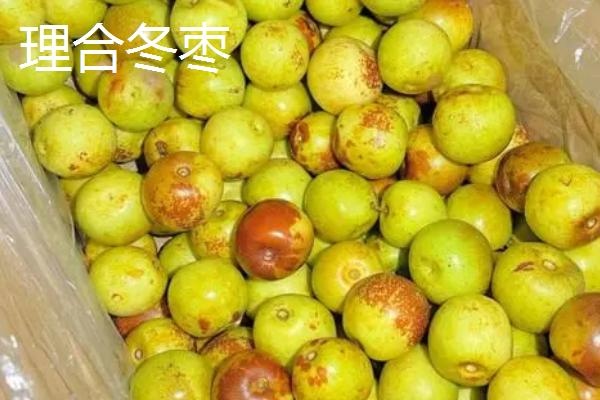 山东临邑县的特产，常见的有理合冬枣、中华寿桃等