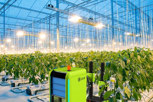 农业科技项目包括哪些，包括精准农业、智能农业、生物农业等
