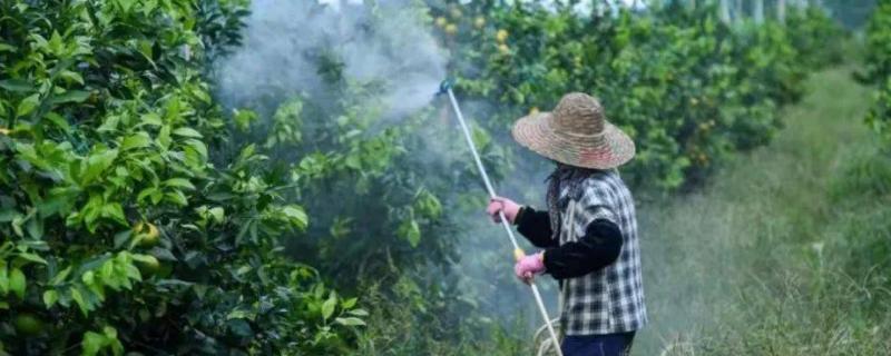 打农药的温度多少合适，农药的种类不同适合的温度不同