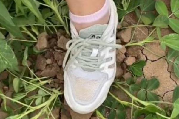 花生踩一脚的时间，一般为7-8月份