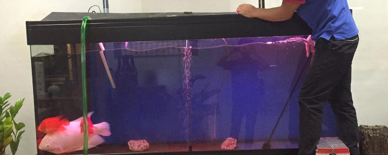 鱼缸重新换水多久可以放鱼，至少要三天才可以放鱼