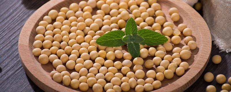 淮鲜豆6号大豆种子简介，每亩定植1.0万-1.1万株