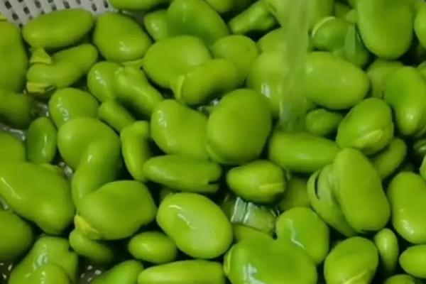 蚕豆和豌豆有何不同，外观、产地、花果期均有区别