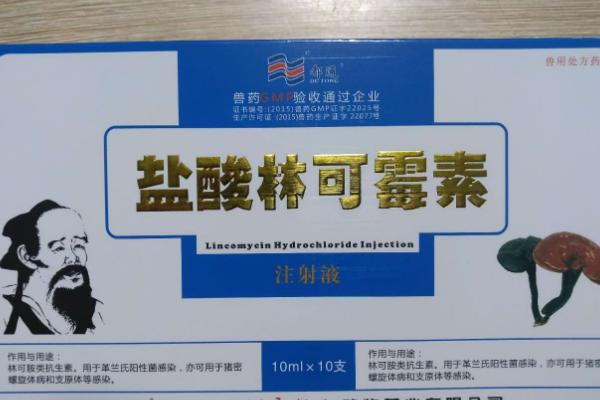 兽用盐酸林可霉素的配伍禁忌，与罗红霉素配伍治疗效果会降低