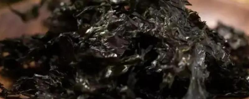 紫菜的种类，常见的有坛紫菜、条斑紫菜等