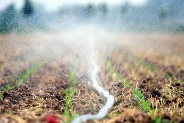 玉米的播种深度，4-5厘米比较合适