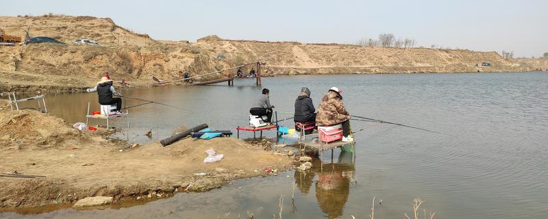 钓鱼好不好钓，与天气、饵料、钓点等相关