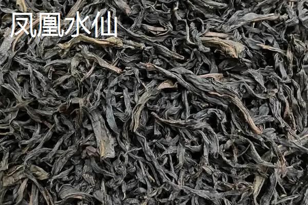 凤凰单丛属于红茶还是绿茶，属于乌龙茶