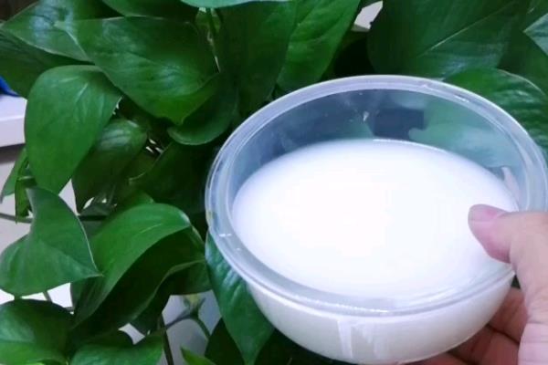 人尿肥还是淘米水肥，尿液的肥力要高于淘米水