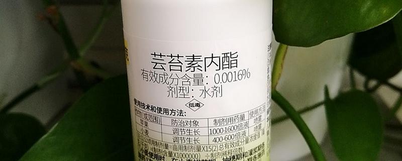 芸苔素内酯怎么使用，可以浸种或喷施叶面