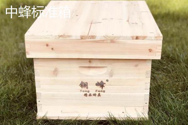 中蜂箱能放几框合适，标准箱能容纳10个巢框