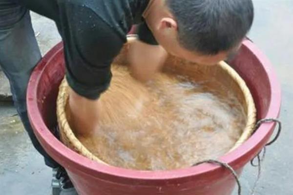 稻谷种子发芽要泡多长时间，通常需要浸泡48-72小时左右