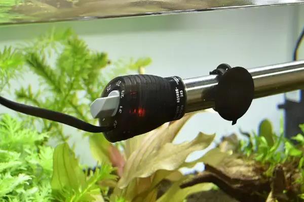 1米的鱼缸要搭配多大的增氧泵，功率达到2-4W即可满足需求