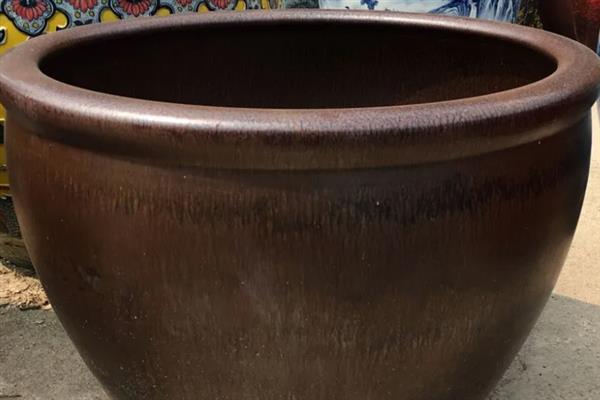 氨基酸叶面肥有什么作用，可以显着提高农作物的产量