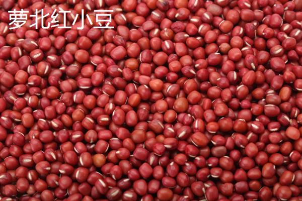 黑龙江省萝北县的特产，萝北黑木耳具有悠久的栽培历史