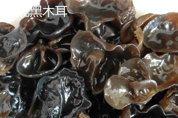 黑龙江省萝北县的特产，萝北黑木耳具有悠久的栽培历史