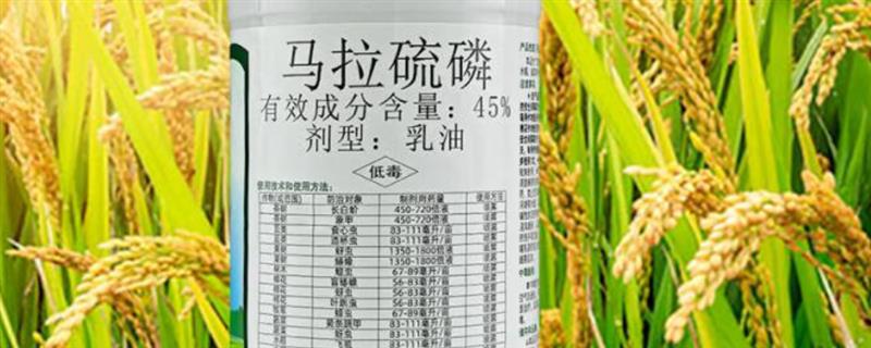 马拉硫磷有什么作用，可防治蚜虫、稻飞虱、稻叶蝉等多种害虫