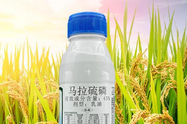 马拉硫磷有什么作用，可防治蚜虫、稻飞虱、稻叶蝉等多种害虫