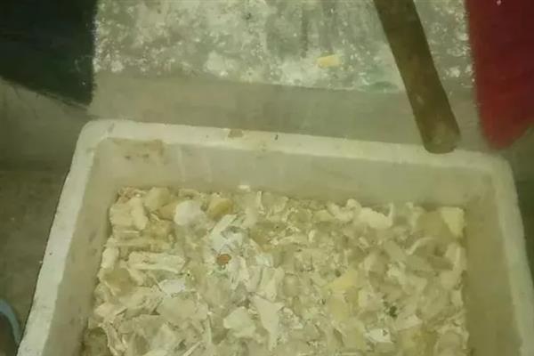 蟹爪兰适合施什么肥，生长季节对氮肥的需求较多