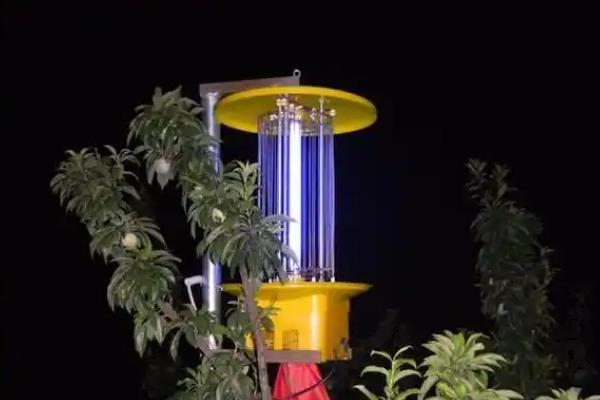 辣椒小地老虎如何防治，可利用黑光灯诱杀