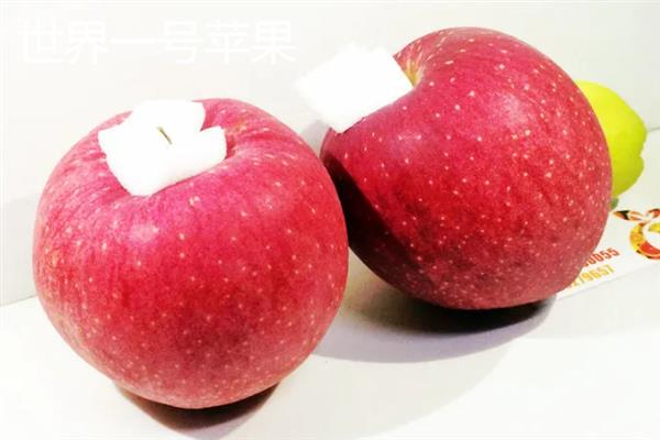 苹果有哪些品种，有响富苹果、烟台苹果等