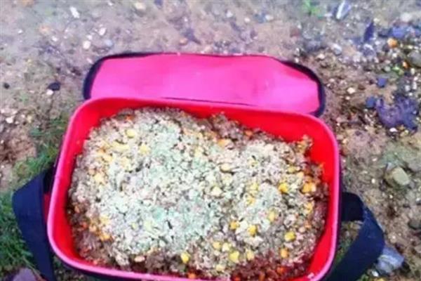 沙坑水深怎么钓鲤鱼，用素饵更常见