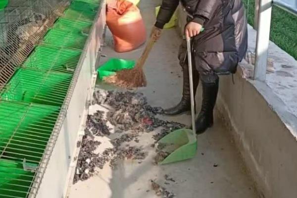 兔棚怎么搭建，需要对兔棚进行分区域管理