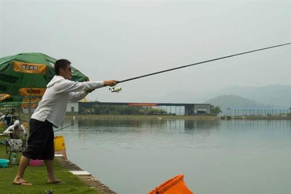 沙坑水深怎么钓鲤鱼，用素饵更常见
