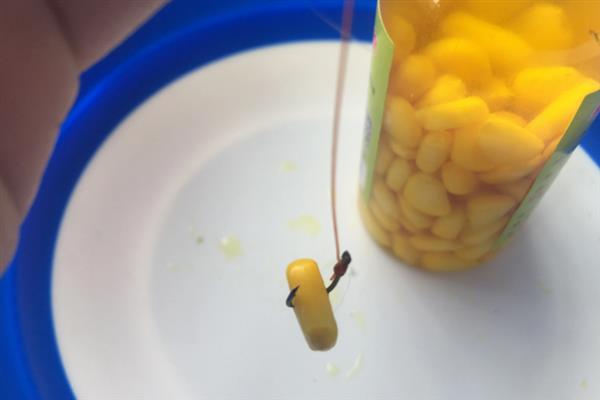 沙坑水深怎么钓鲤鱼，用素饵更常见
