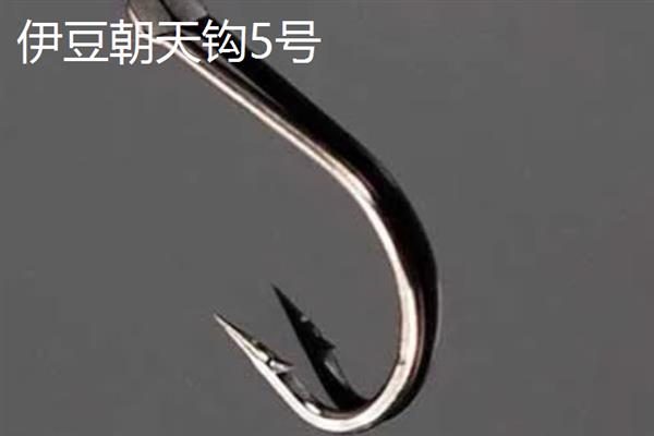 朝天钩怎么绑，主线套在钩槽中对齐钩尖再拉紧
