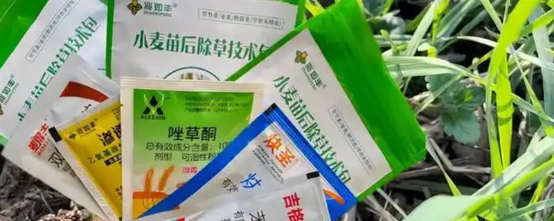小麦除草剂的使用时间，一般在入冬前和第二年拔节的初期