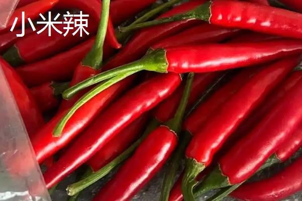 辣椒有什么品种，二荆条、七星椒等品种较常见