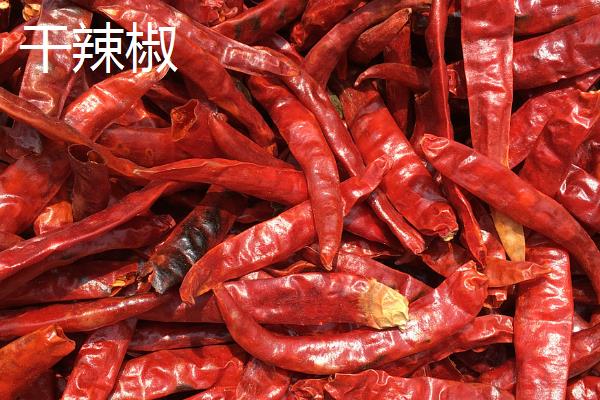 辣椒有什么品种，二荆条、七星椒等品种较常见
