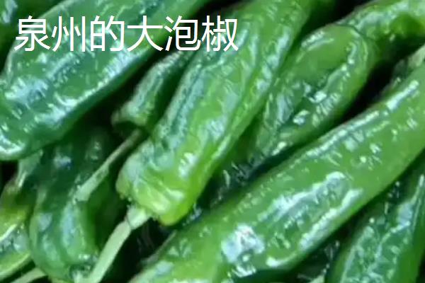 辣椒有什么品种，二荆条、七星椒等品种较常见