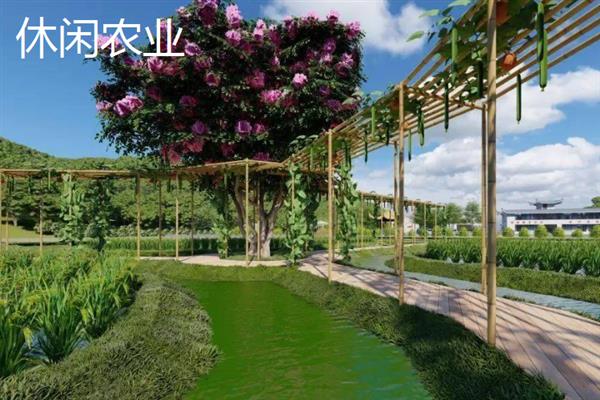 有什么新型农业项目，主要分为林下养殖、有机种植、休闲农业等5个种类