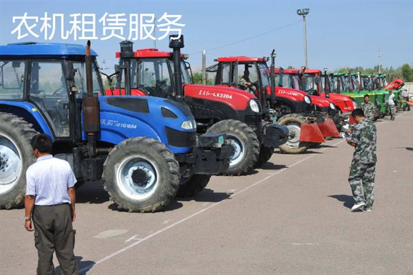有什么新型农业项目，主要分为林下养殖、有机种植、休闲农业等5个种类