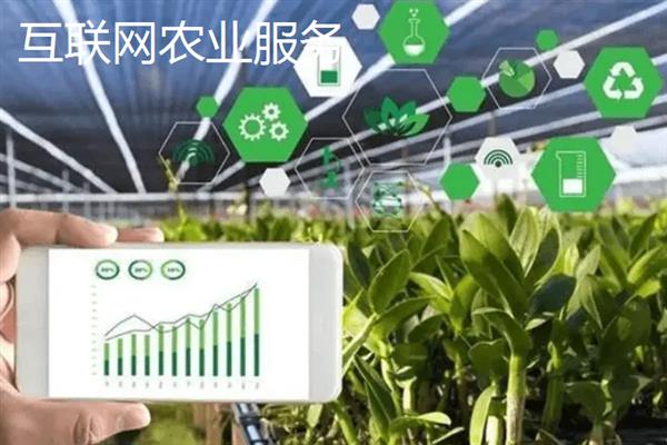 有什么新型农业项目，主要分为林下养殖、有机种植、休闲农业等5个种类