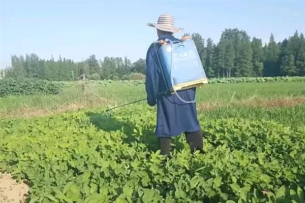 苏子的产地，在我国主产于安徽、湖南、台湾等省份