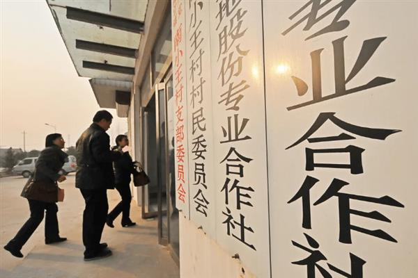 有什么新型农业项目，主要分为林下养殖、有机种植、休闲农业等5个种类