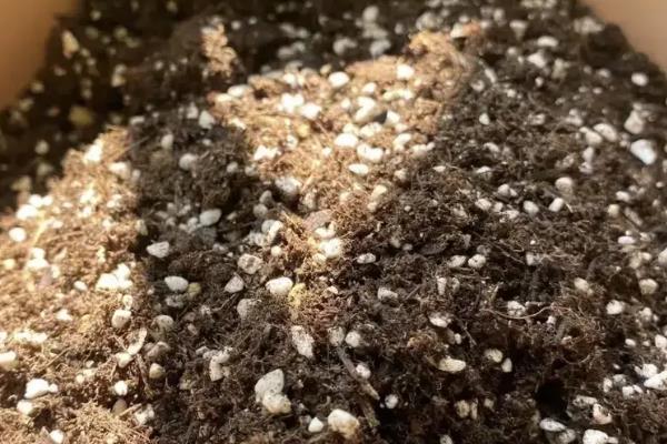 珍珠岩的介绍,是火山喷发后产生的熔岩