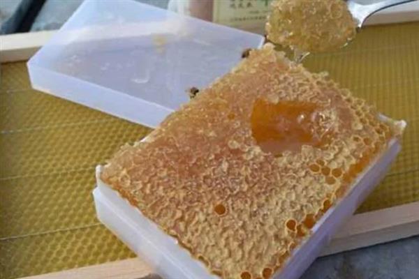 蜂巢蜜怎么吃，直接咀嚼再吐出残渣即可