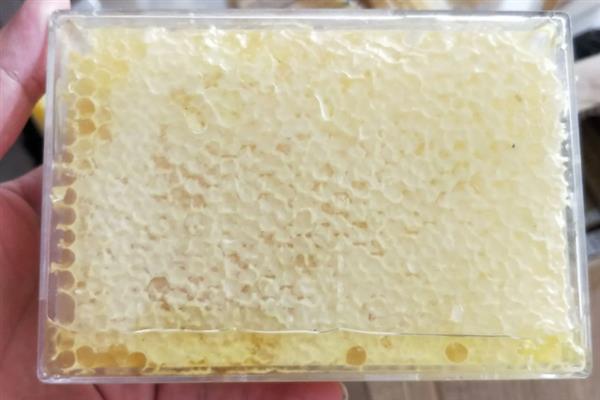 蜂巢蜜怎么吃，直接咀嚼再吐出残渣即可